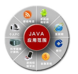 西安网站开发,java和php两种开发语言,应该选哪一种,你知道吗