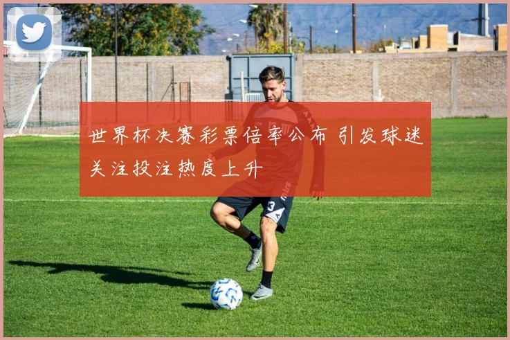 世界杯决赛彩票倍率公布 引发球迷关注投注热度上升